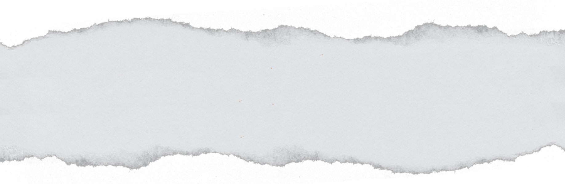 Untitled design-19.png
