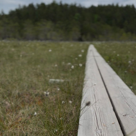 Miksi loma ei aina palauta? Viisi syytä, miksi olo on väsynyt myös lomalla