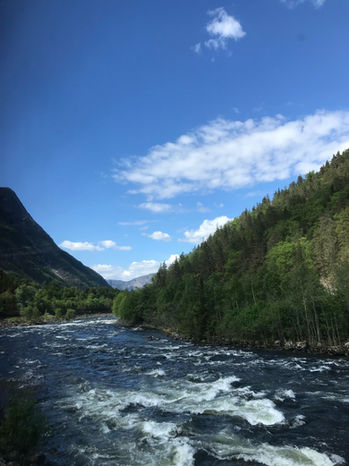 IMG_6521_Original.jpg