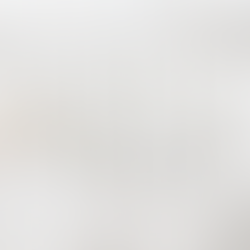 interior design, interior designer, karen miller, modelo interior design, branding, roop creative agency, puja malhotra, toronto design agency