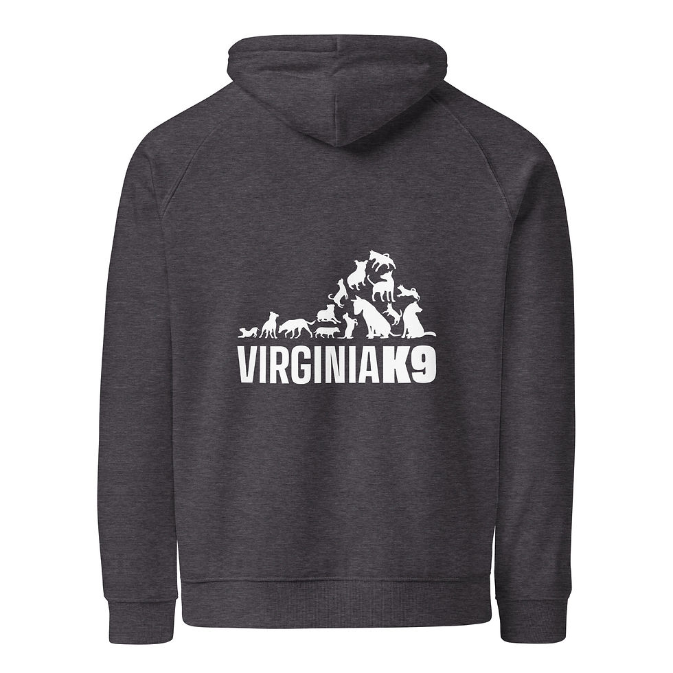 Thumbnail: Everyday is a Good Day Dog eco raglan hoodie