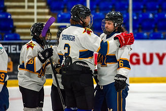A MetrosB v bears C Jan 25_-37.jpg