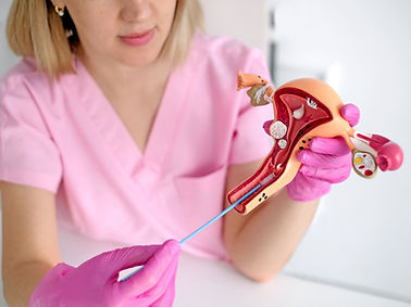 a-gynecologist-using-model-of-female-uterus-shows-2024-12-05-20-21-14-utc.jpg