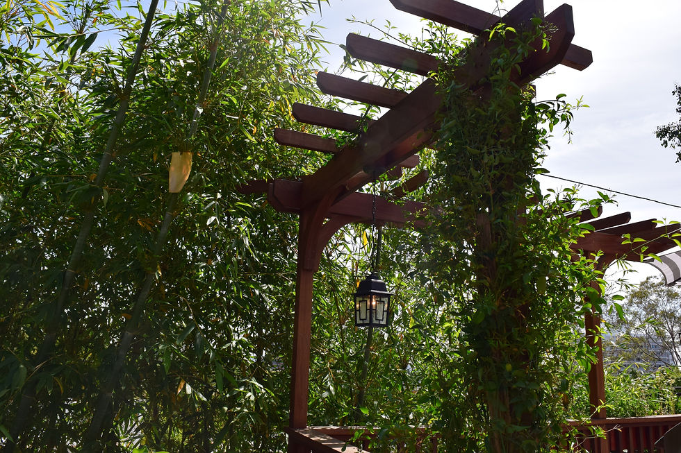 Trellis in Hollywood