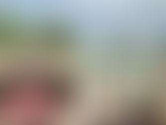 Long Ride For Justice - Introduction