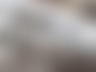 The Ultimate Guide to Using a Roof Rake: Benefits and Safety Tips