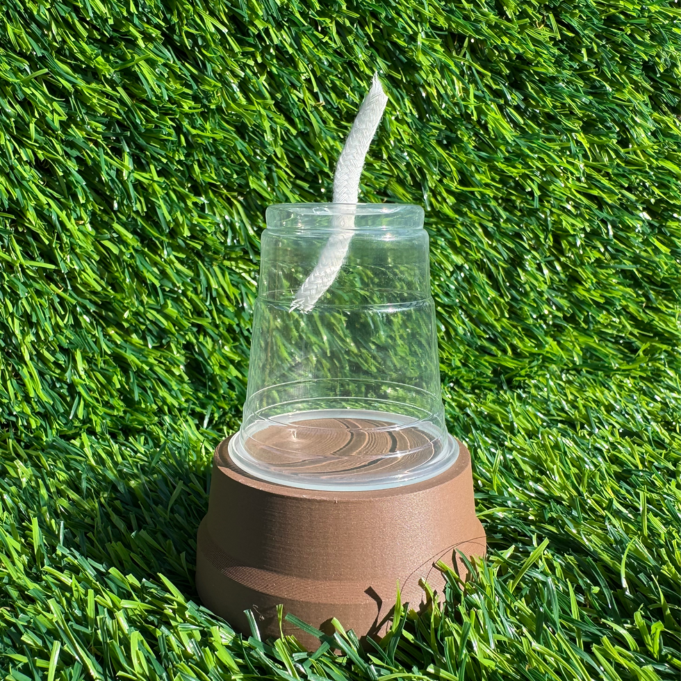 Baby Cup (no reserve)