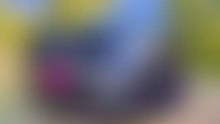 Kia Updates Their Most Popular Vehicle for 2023