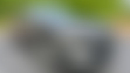 2023 Genesis Electrified GV70 AWD Prestige: Practically Perfect in Every Way