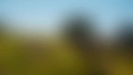 Buy Now or Wait? 2022 Toyota 4Runner TRD Pro