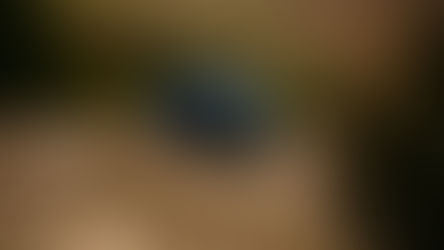 APEX PREDATOR: 2022 Ram 1500 TRX - Still So Much Fun