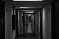 IMG_9816