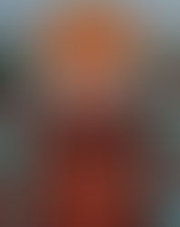 28 de Maio dia de São Germano de Paris