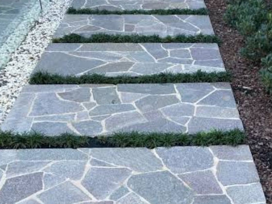 Flagstone pathway with green groundcover