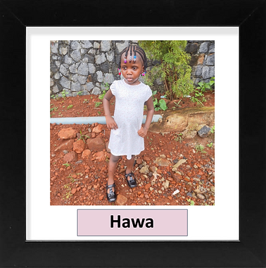 Hawa_New.png