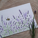 20240731_115533 (1).jpg