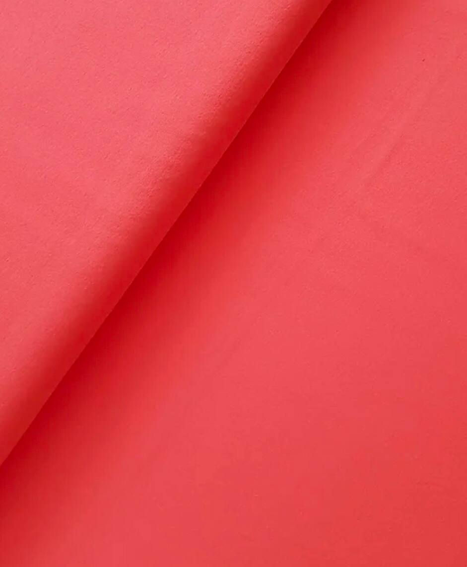 CILPIŅTRIKOTĀŽA - KORAĻU