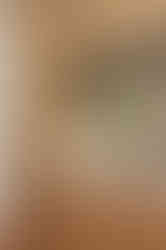 mwier_sb_keymer_vin11_v1_webres