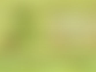 MNC - O Ilusório estilo de vida "metacapitalista".