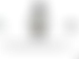 Suprema Corte dos Estados Unidos: irradiação da "atecnia" judicial.