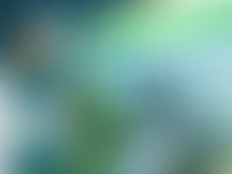 Peripécias da Esquerda em matéria ambiental.