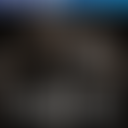 Skulldust Plays Resident Evil: REmake