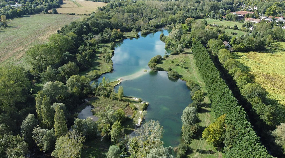 lac des libellules.jpg