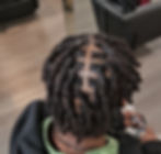 Starter locs