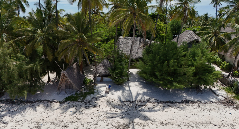 Traumhaftes Grundstück mit Meerblick in Bwejuu, Sansibar mit real estate zanzibar agency immobilie makler / Dreamy property with ocean view in Bwejuu, Zanzibar
