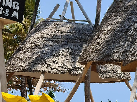 dining in paradise with zanzibar real estate agents
