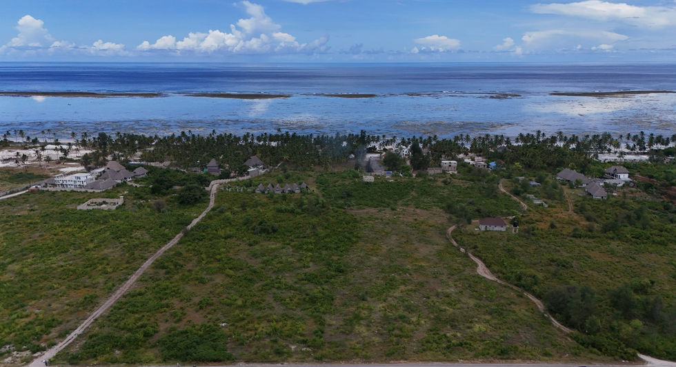 Sansibar-Strandimmobilien in Bwejuu – Genießen Sie die entspannte Lebensweise inmitten tropischer Schönheit. Investieren Sie in Ihr eigenes Stück Paradies! Zanzibar beachfront real estate in Bwejuu – Enjoy the laid-back lifestyle amidst tropical beauty. Invest in your own piece of paradise!