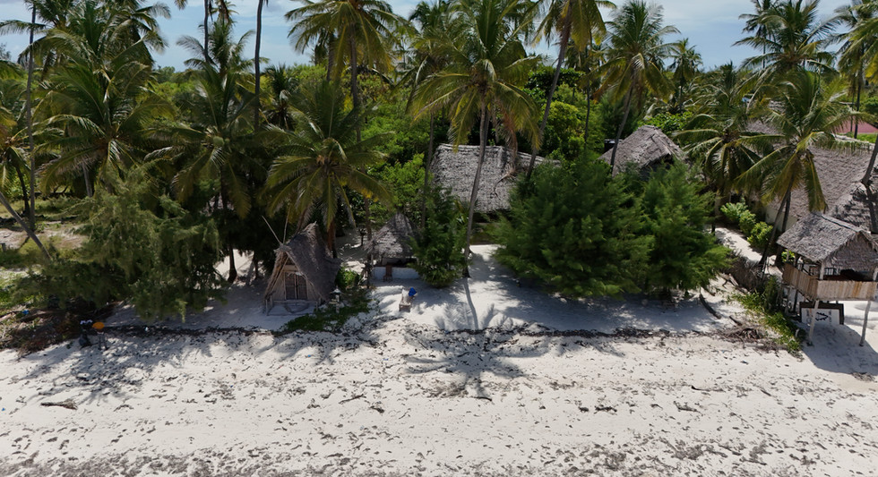 Traumhaftes Grundstück mit Meerblick in Bwejuu, Sansibar mit real estate zanzibar agency immobilie makler / Dreamy property with ocean view in Bwejuu, Zanzibar