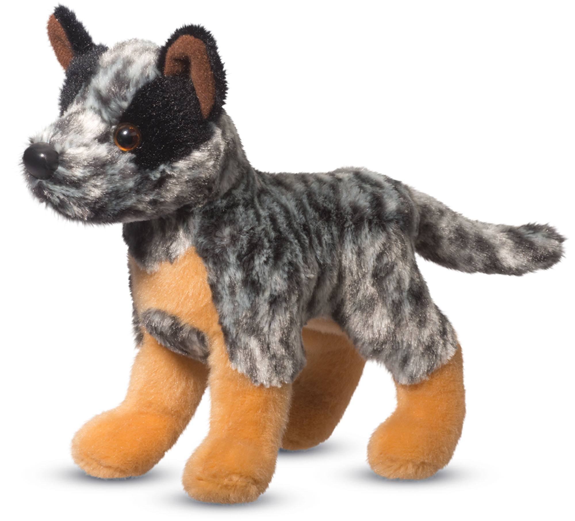 Clanger Australian Cattle Dog