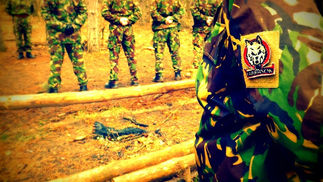 Farkasok alapképzés indul