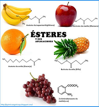Esteres portada.jpg