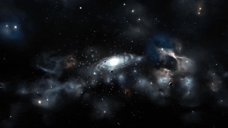 71998c_ff2007ae4e734f279932f2aa36c00996~mv2.gif