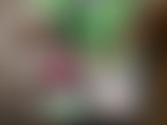 Lunchbox Idea Mega Roundup!