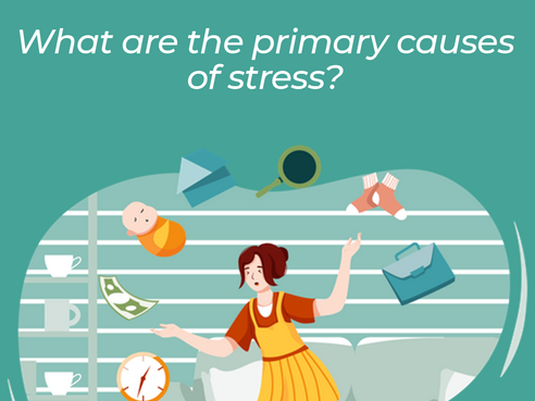 Causes of Stress