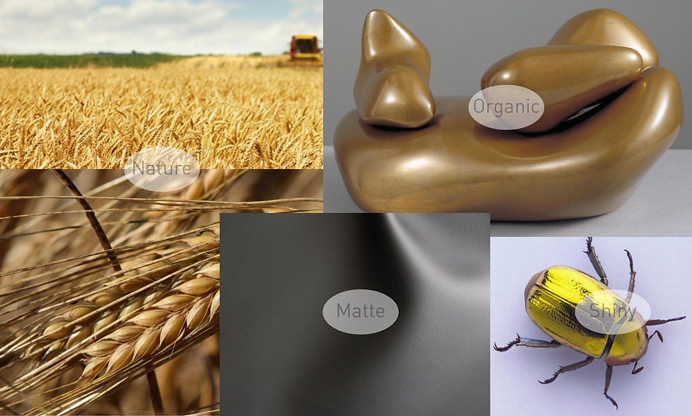 Egzoz moodboard-3.jpg