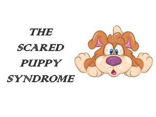 Puppy Fear Periods During Development