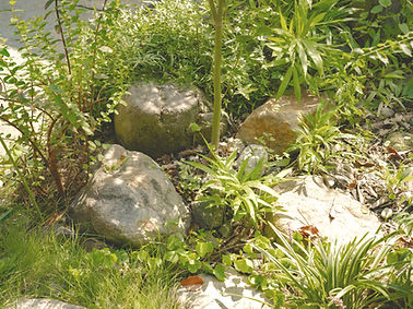DSC00028_edited.jpg