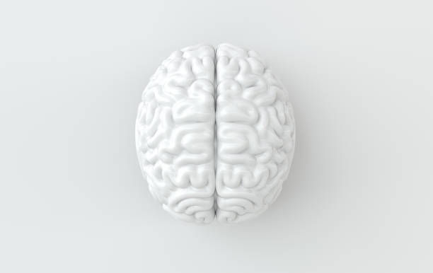 Thumbnail: Vegan Brain Boost Vegan  micro dose cube - Bulk Size