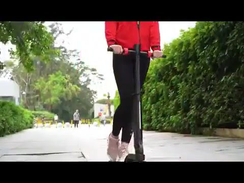 Thumbnail: Electric Scooter Dragonfly Design X6
