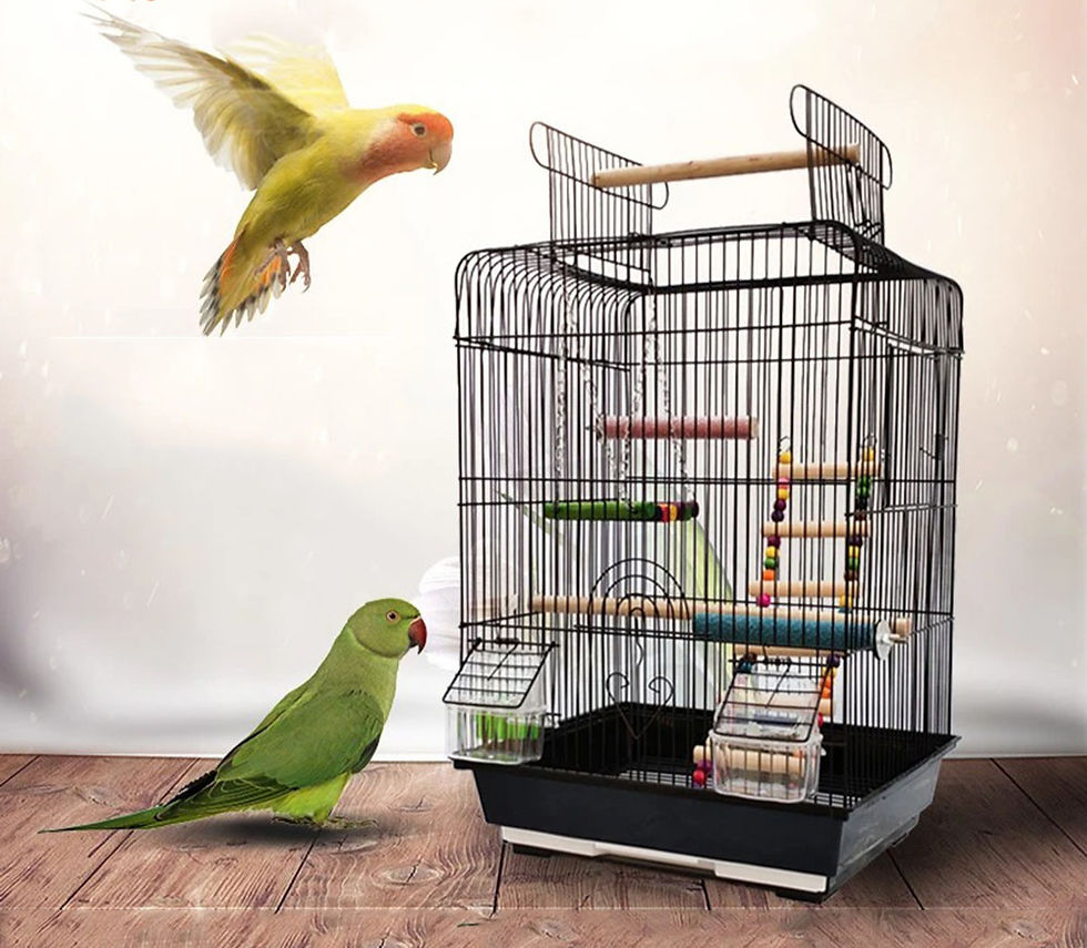 Thumbnail: []Metal Luxury Hanging Breeding Cage