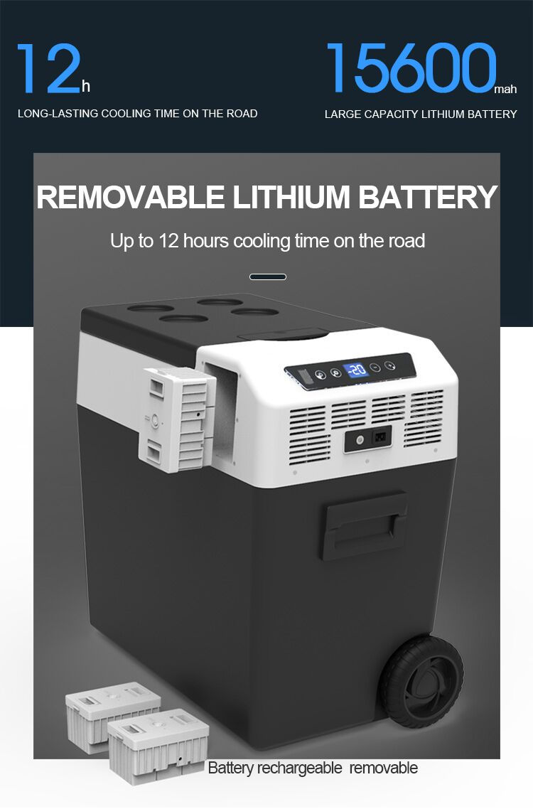 Thumbnail: FROZEN 50L Portable Refrigerator