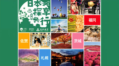 Airline Sales Promotion Campaign