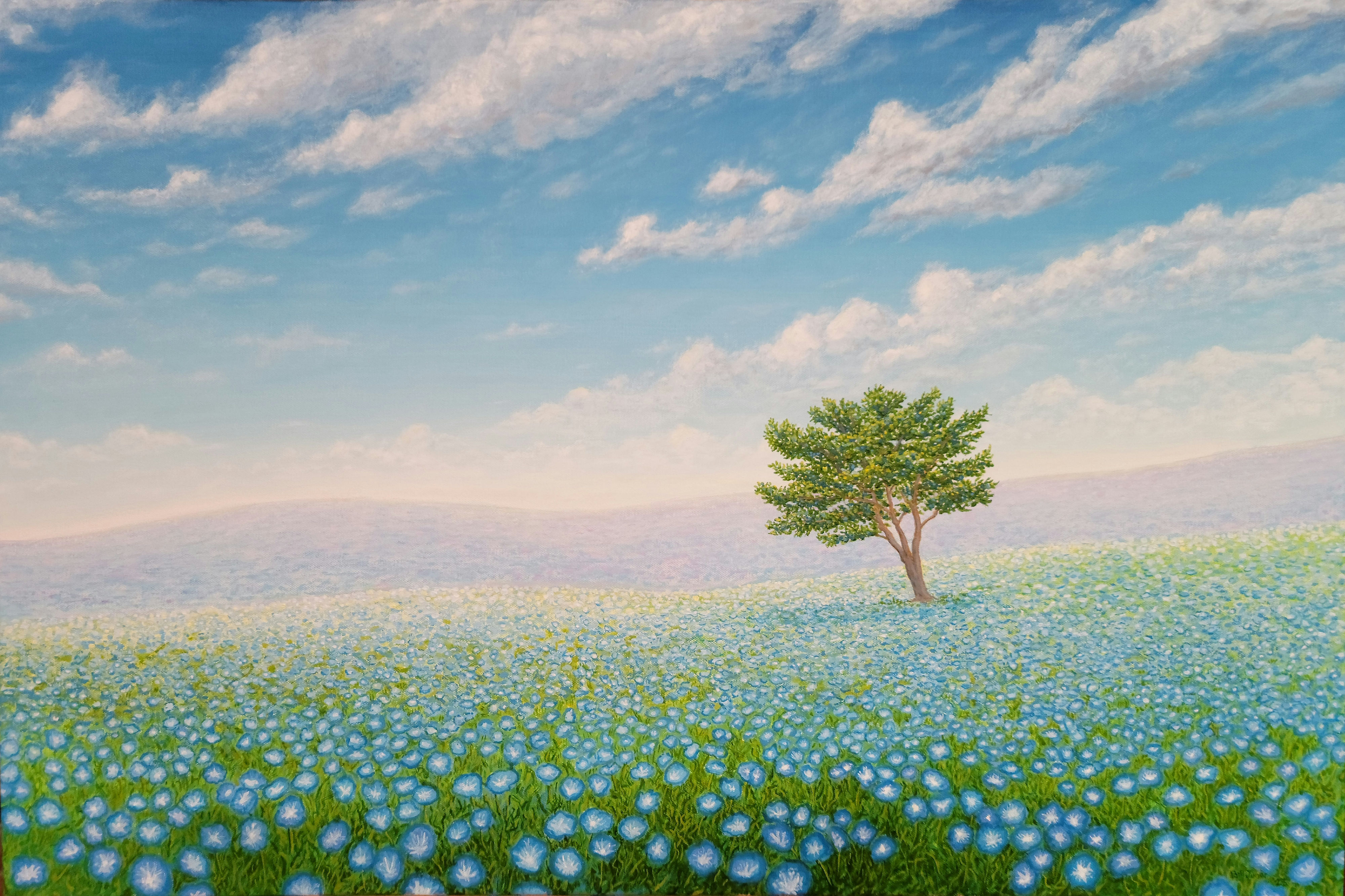 Bluefields