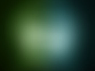 Everest Nature's Logo