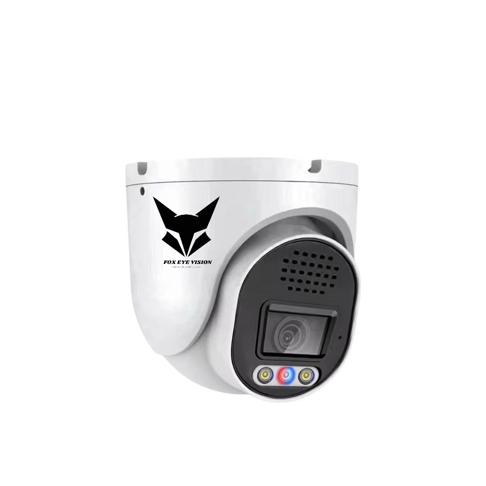 4K AI Dome Camera view 2