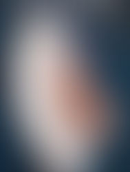 Loitering: New & Collected Essays / Charles D'Ambrosio